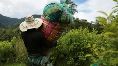 America Classifies Colombia as Non-Cooperative in Narcotics Battle
