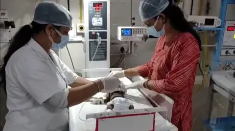 Newborn Buried Living in the Country Struggles for Her Life