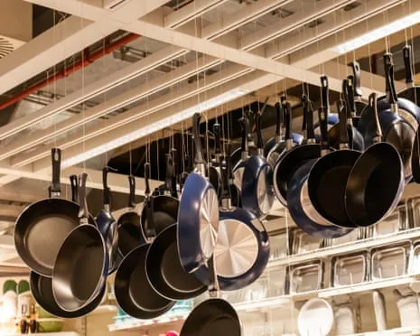 Non-Stick Eating, Aromatic Lactation and Zebra Cows Excel at 2025 Ig Nobel Prizes