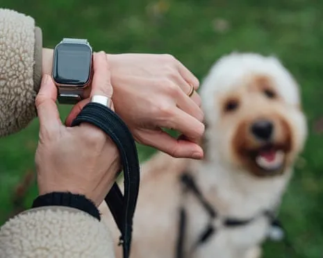 The Honest Scoop Regarding Fitness Trackers? Daily Existence Is Better Without a Bossy Zealot on Your Arm